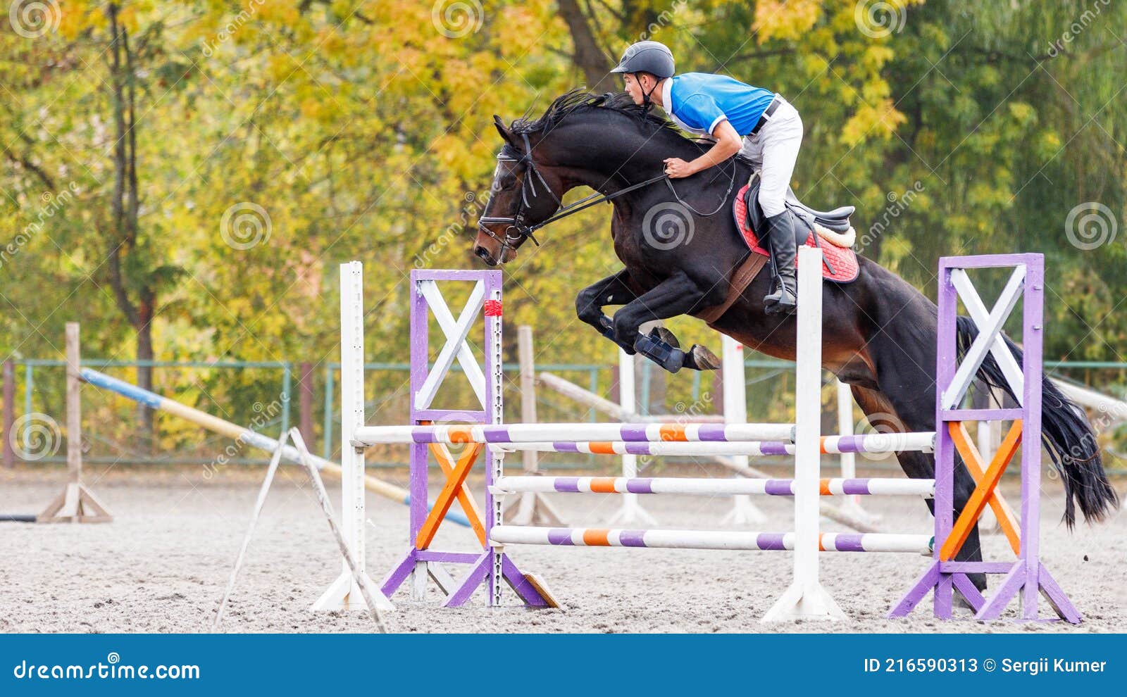 a cavalo saltos sobre a obstáculo. a cavalo cavalgando. pulando