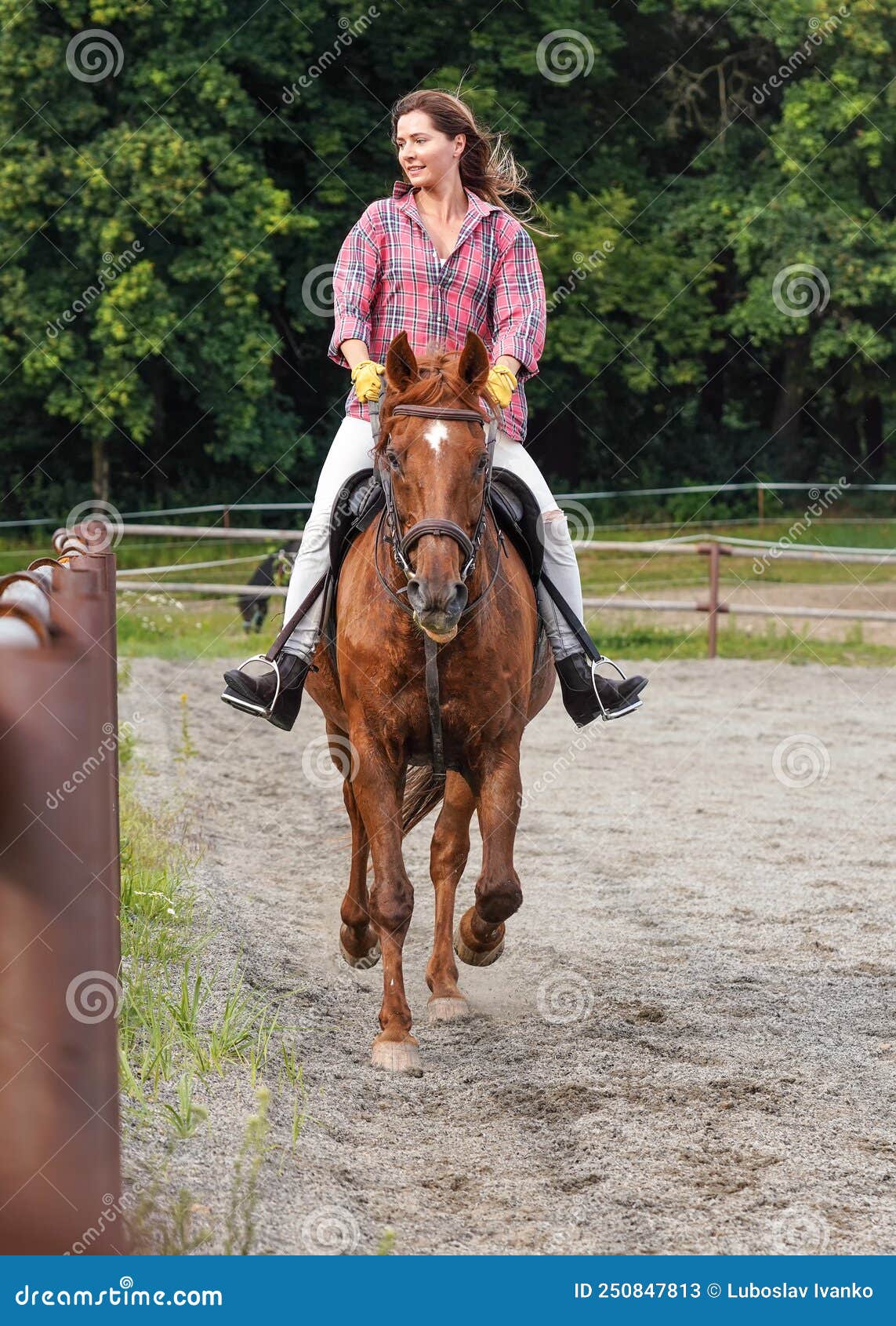 Há uma mulher andando a cavalo pulando sobre uma cerca de madeira