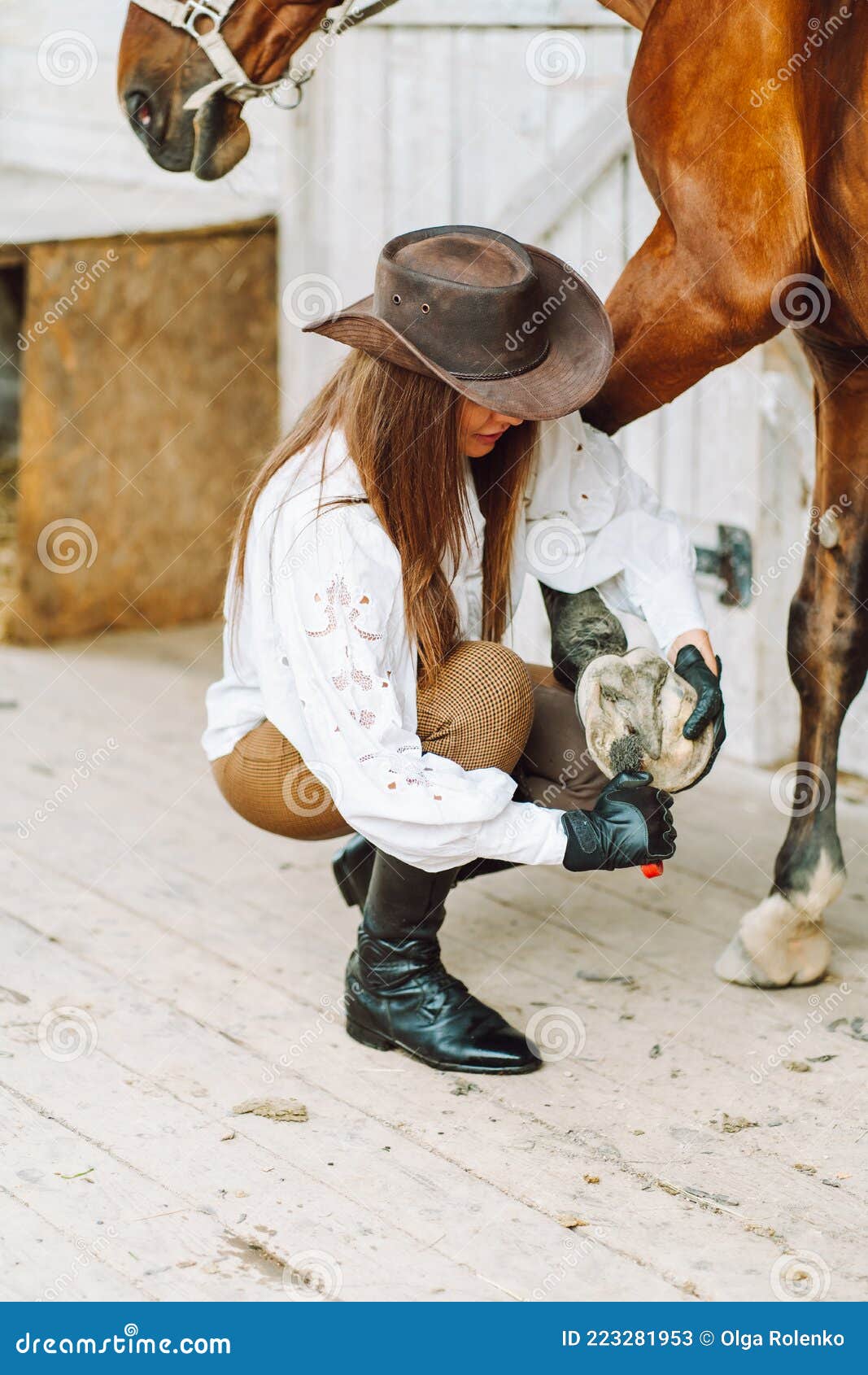 CAVALO PULANDO na CAVALGADA 