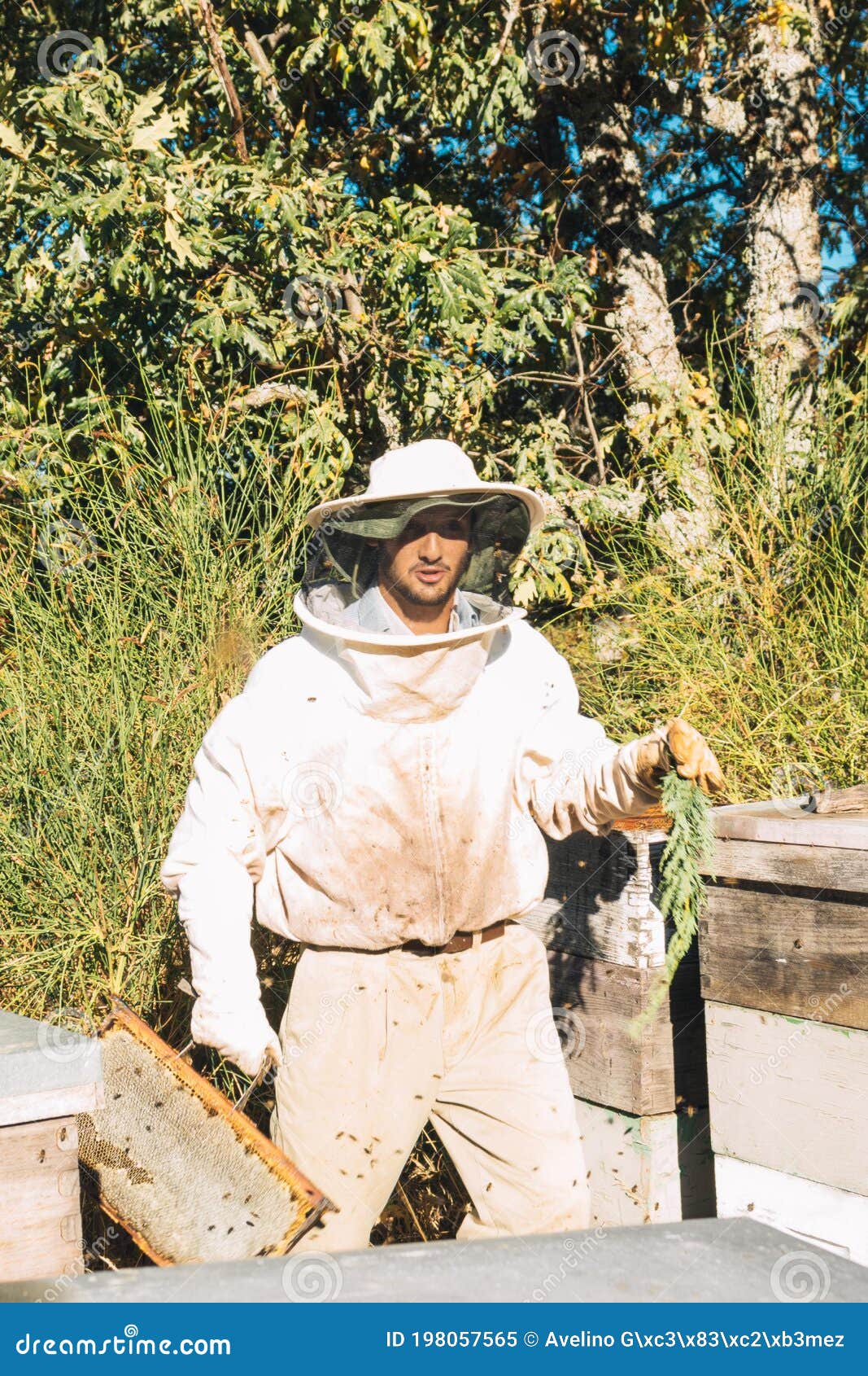 Disfraz de apicultor ocupado para hombre