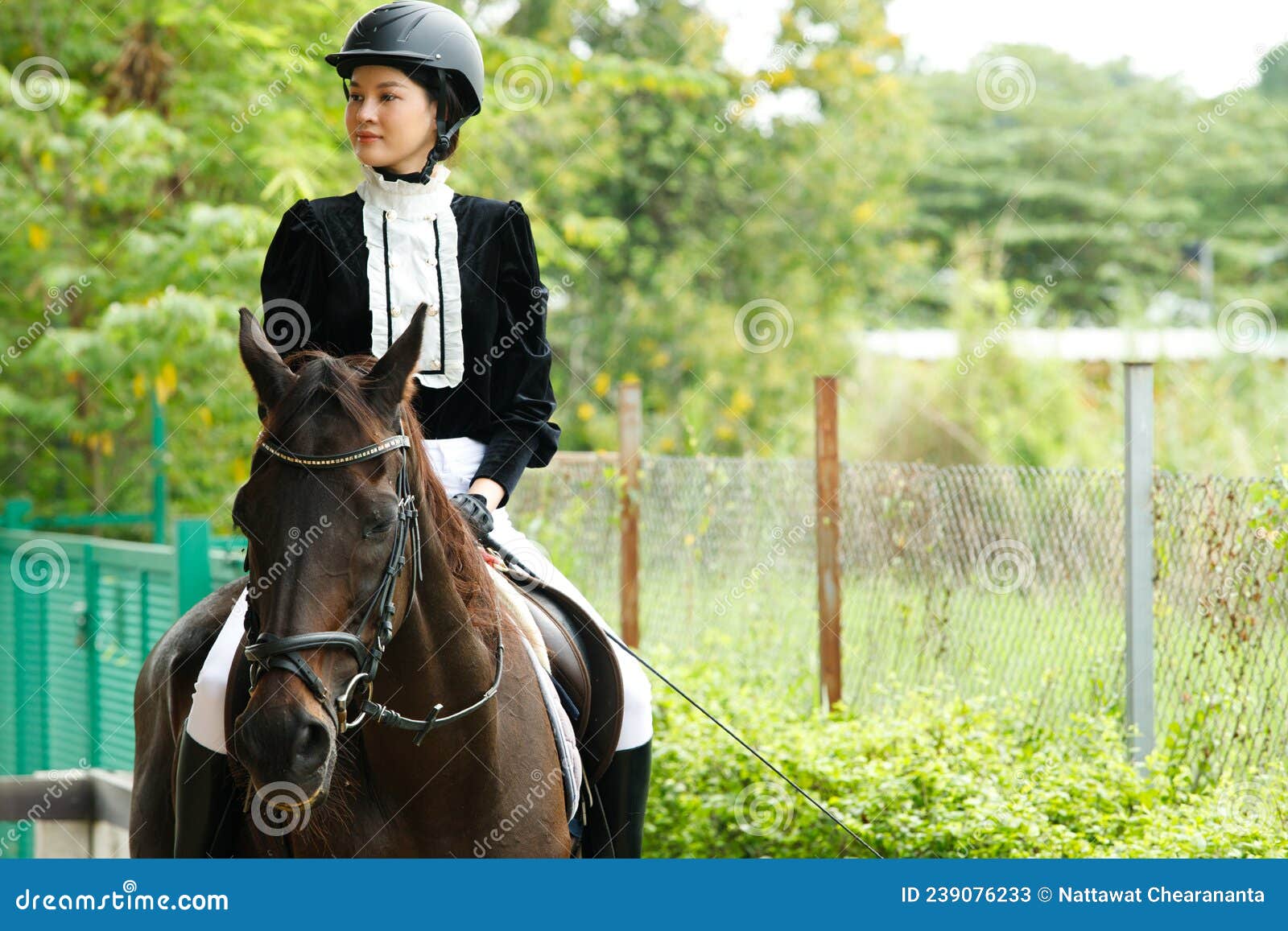 Joven Asiática De Años 20 En De Equitación Con Hermoso Animal Al Libre. Hembra Monta Inteligente Imagen de - Imagen de joven, hembra: 239076233