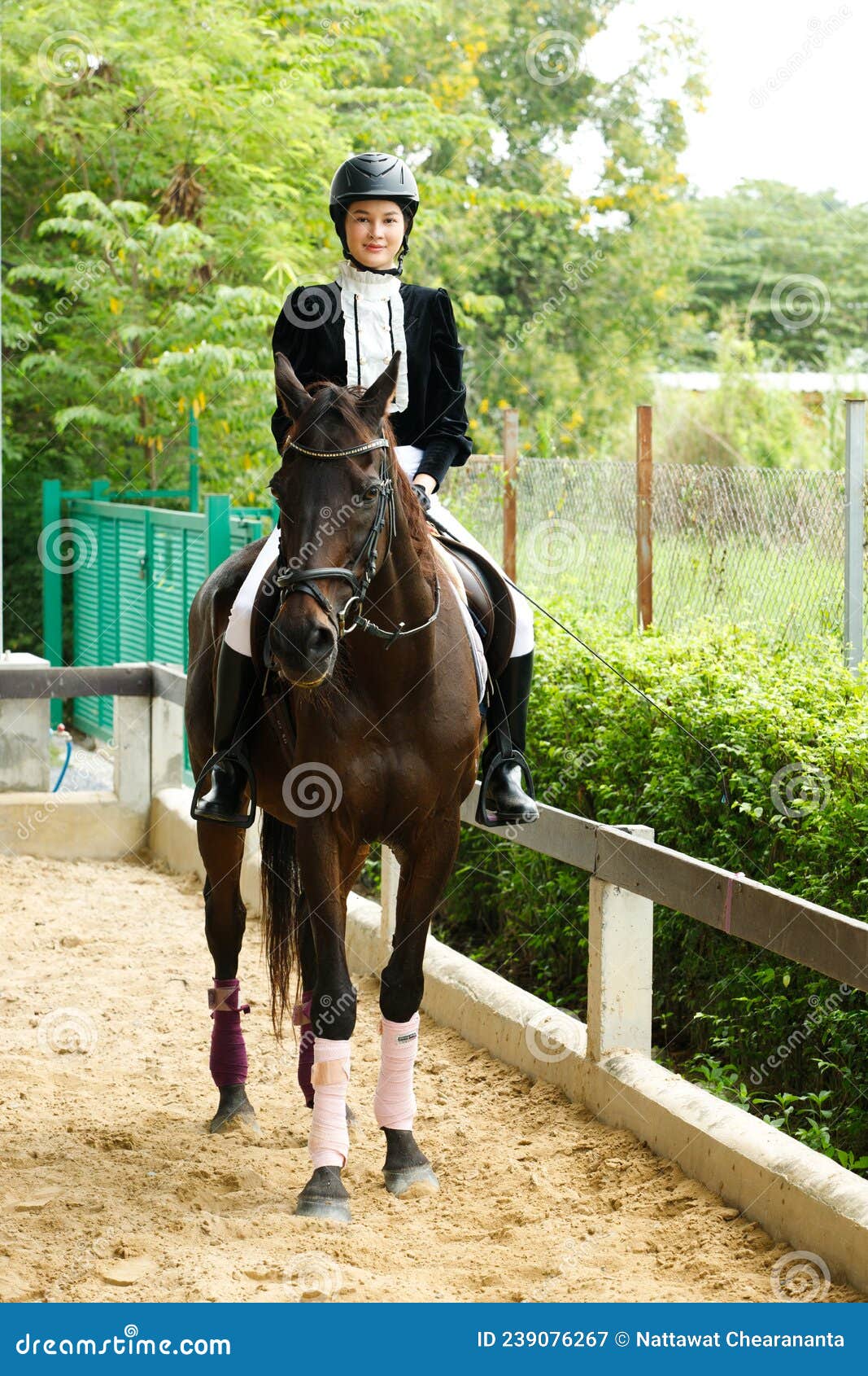 definido cansada Presta atención a Joven Asiática De Los Años 20 En Traje De Equitación Con Hermoso Animal Al  Aire Libre. Hembra Monta Inteligente Imagen de archivo - Imagen de equino,  rancho: 239076267