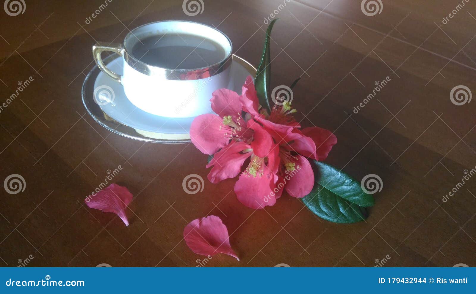 Joy of coffee time stock photo. Image of pink, lighting 179432944