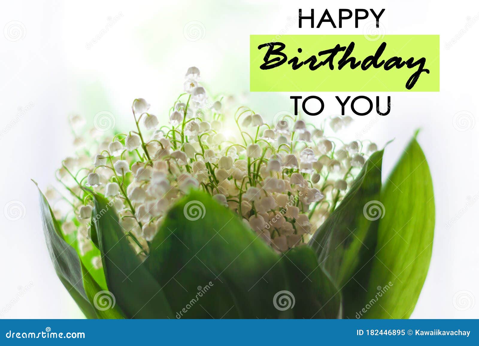 Joyeux Anniversaire Signe Des Textes Lily Epanouissement Des Feuilles De Green Valley Fond Flou De Fleurs De Feux De Bokeh Image Stock Image Du Floraison Aimer