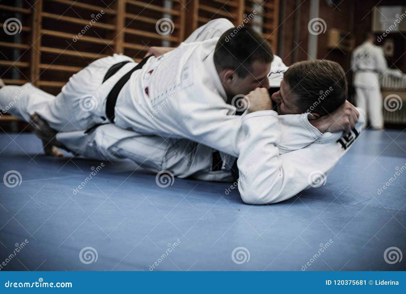 Judo training . stock image. Image of adult, practicing 120375681