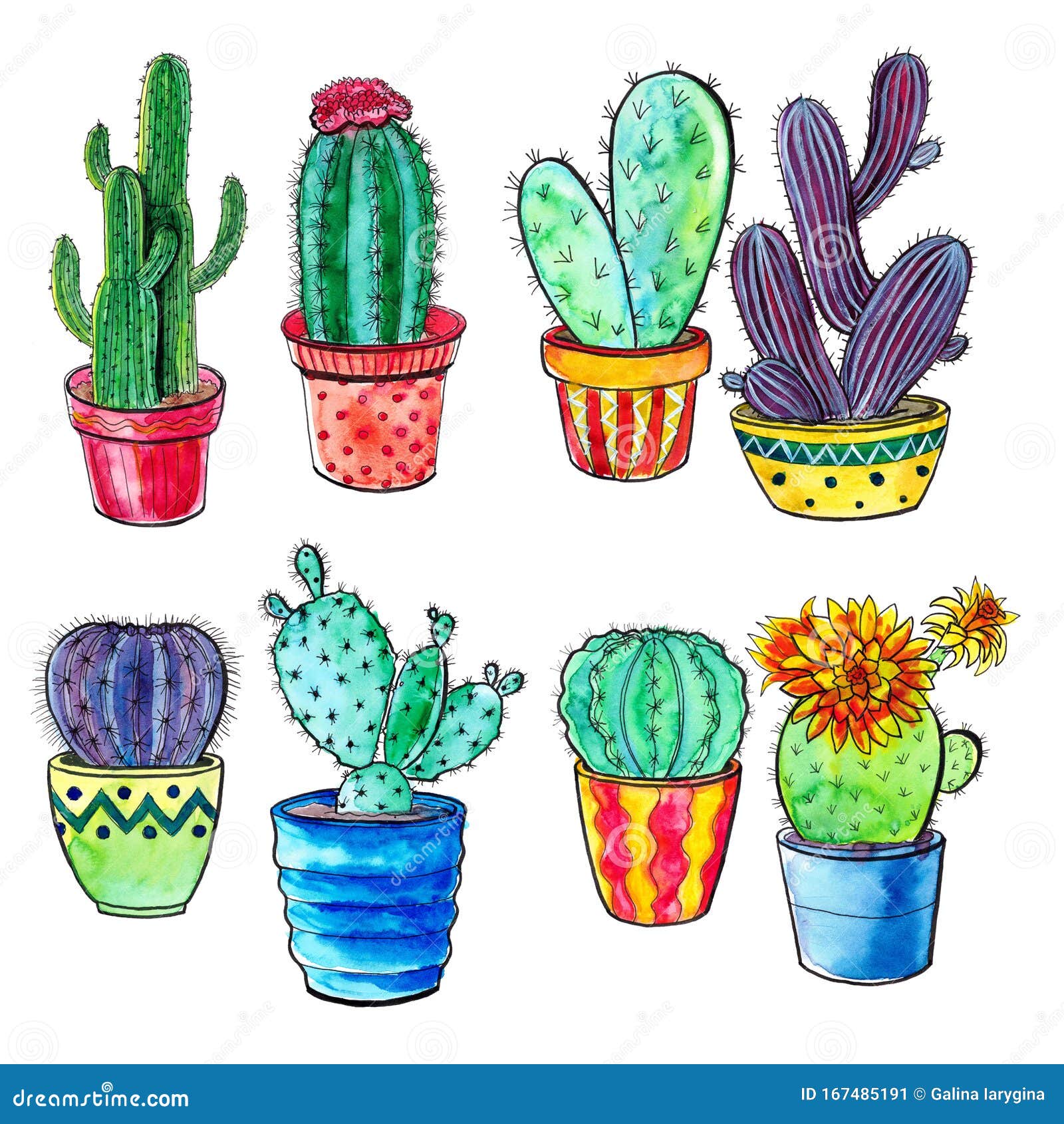 Juego De Cactus De Color De Agua Stock de ilustración - Ilustración de  planta, acuarela: 167485191
