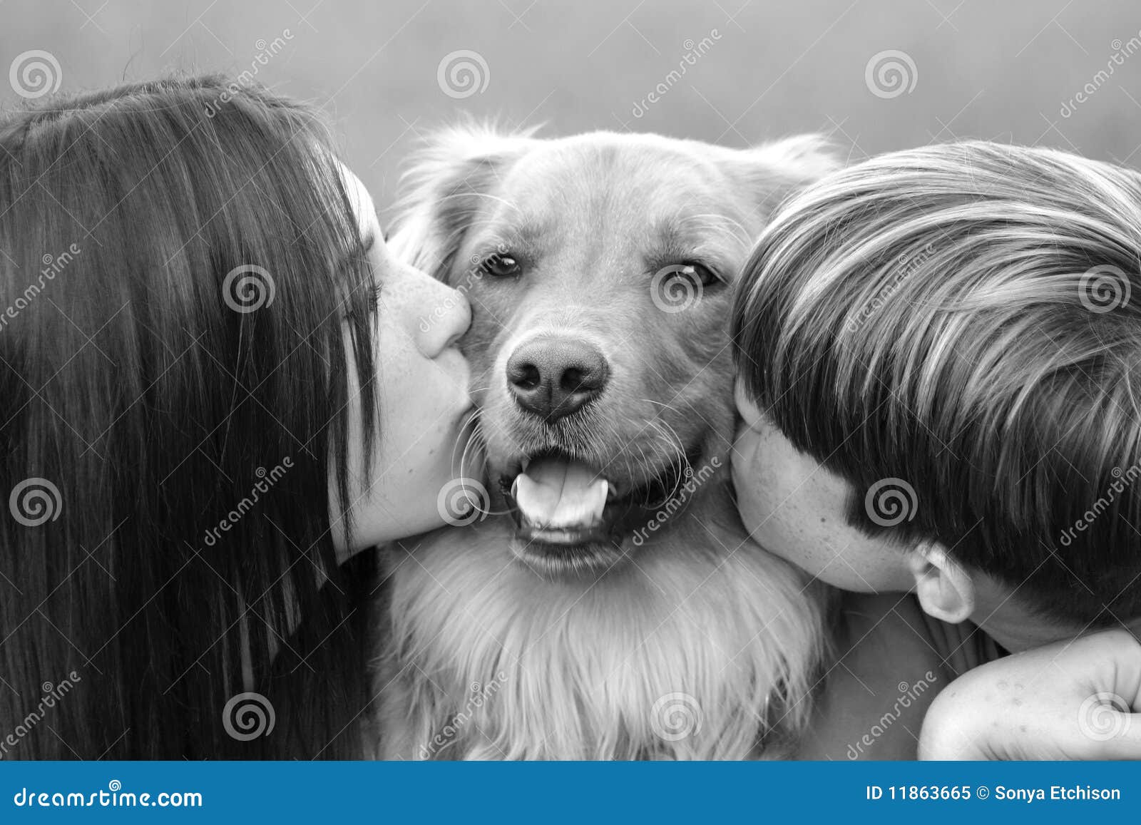 Jugendliche, Die Hund Küssen Stockbild Bild von gras, familie 11863665