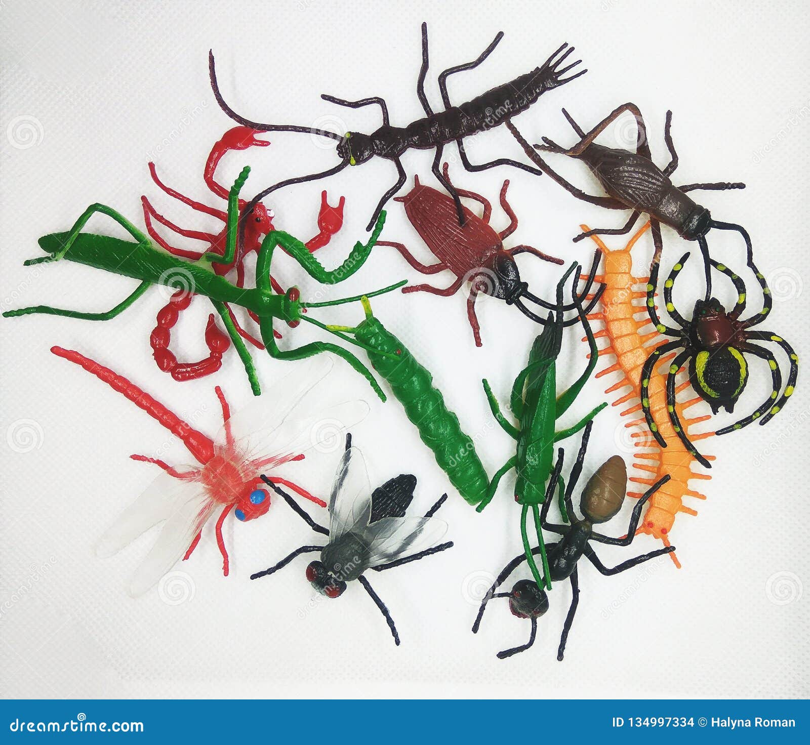 Juguetes de Insectos Animales para niños educación/Juguetes de Halloween OOTSR 14 Piezas Figuras de Insectos Insectos Juguetes Realistas Insectos de Plástico 