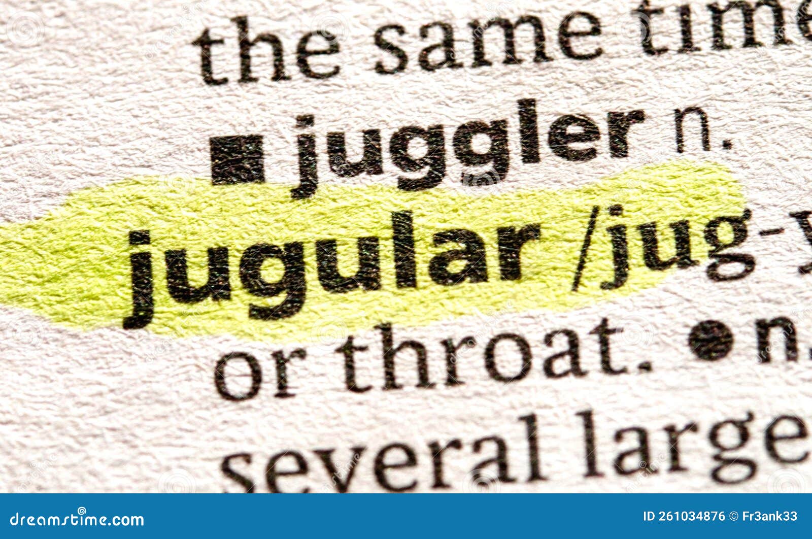 Jugular stock photo. Image of pressure, jugular, vein 261034876