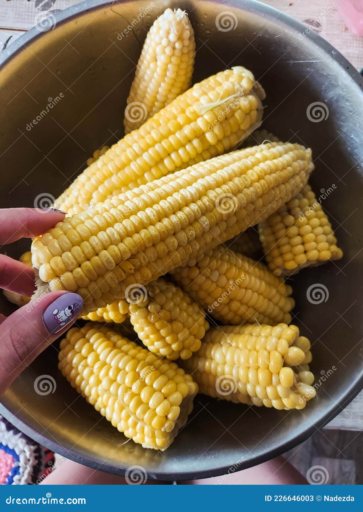Juice corn in hand stock image. Image of food, agriculture 226646003