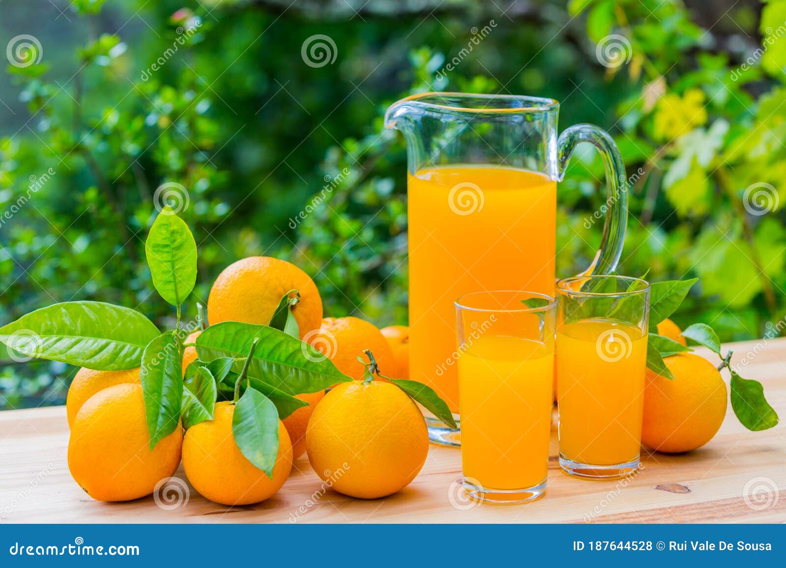 Juice and oranges stock photo. Image of group, citrus 187644528