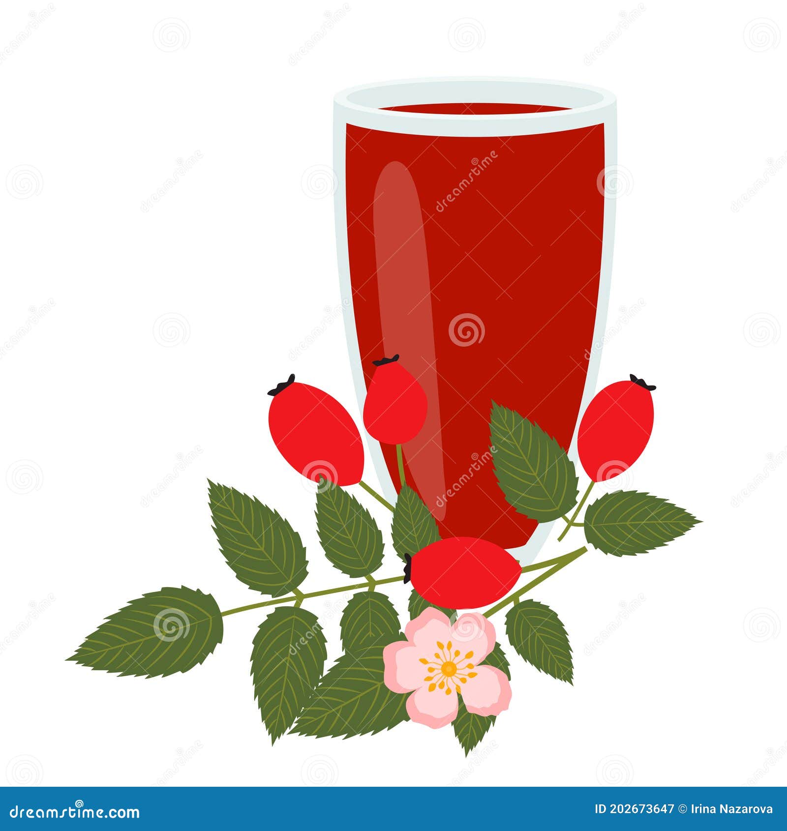 A Glass of Rose Hip Juice. Healthy Food Stock Vector Illustration of