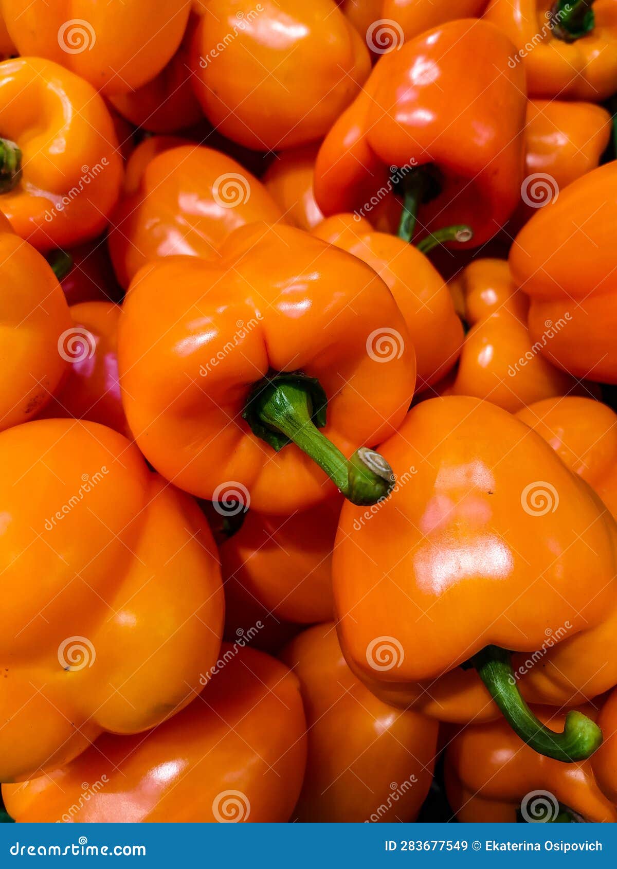 Orange peppers. stock image. Image of plant, store, produce 283677549