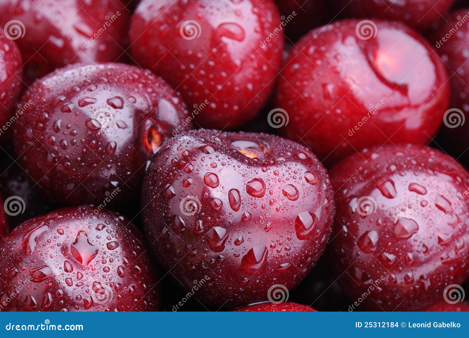 Juicy Red Cherries In The Tree Stock Image 141269731