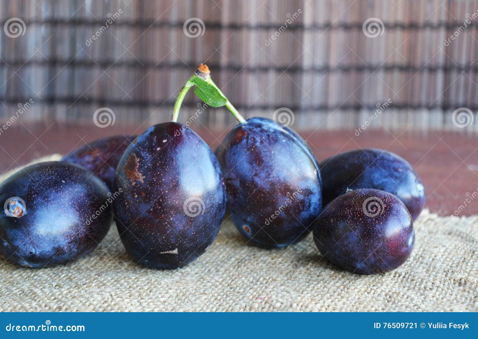 Juicy Dark Blu Plums Fruits in Hands. Stock Image Image of white