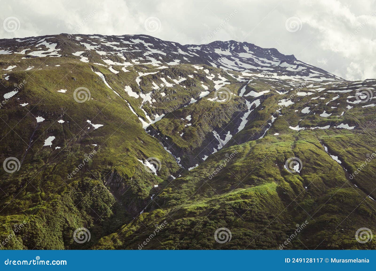 Juicy Green Slope Of A Mountain Overgrown With Dense Vegetation With