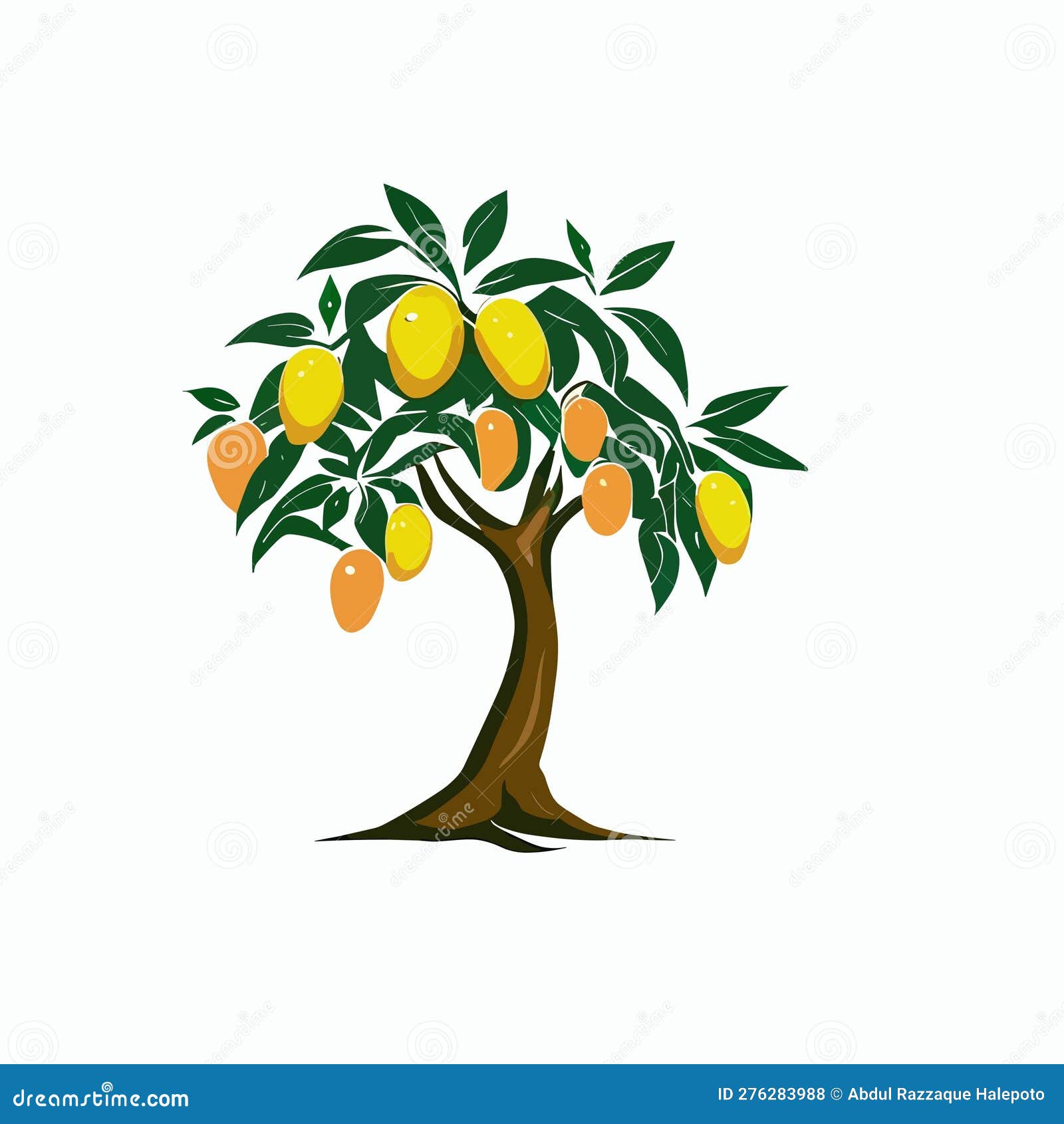 Mango Tree Illustrations & Vectors