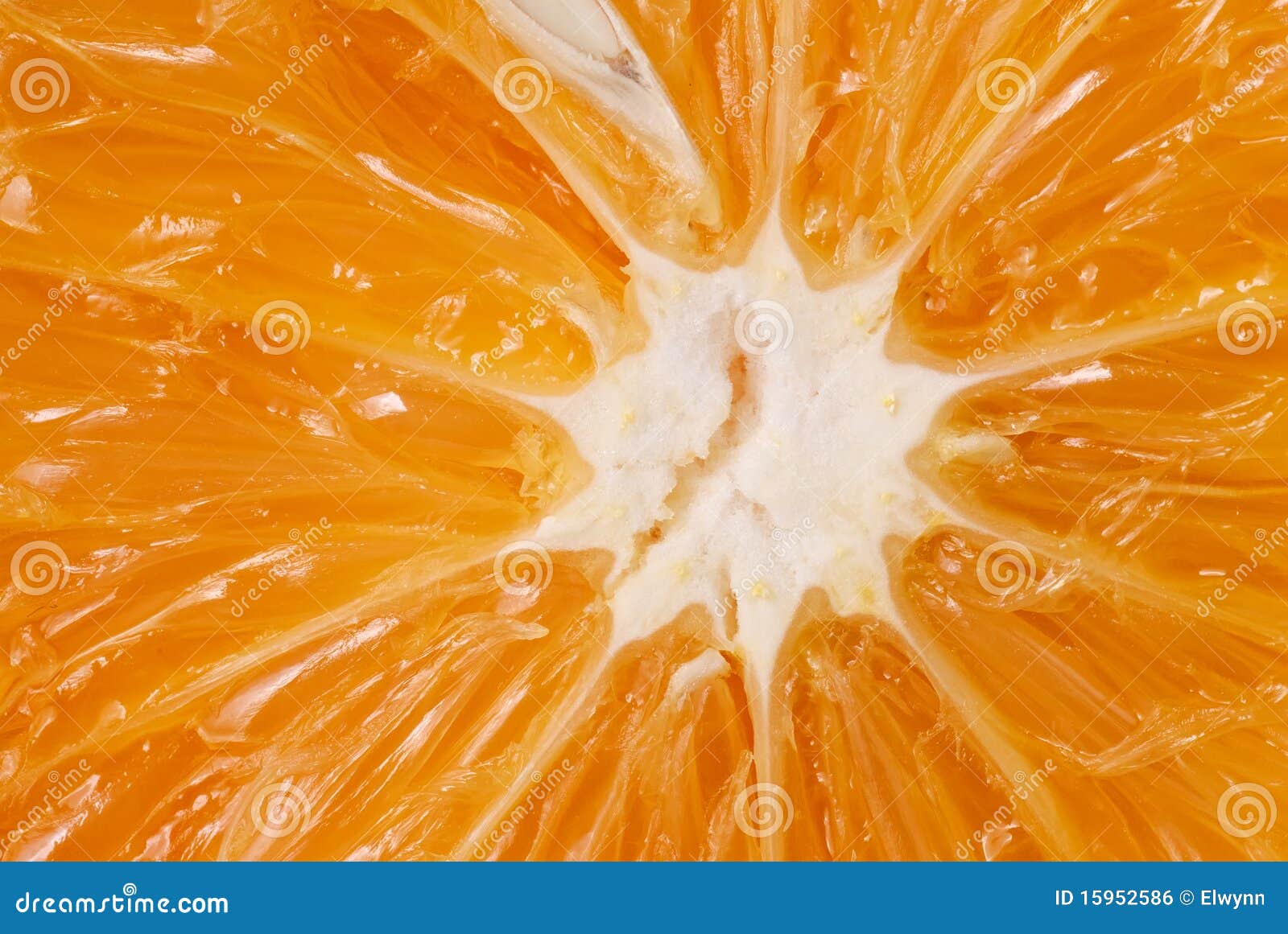 Juicy orange stock photo. Image of delicious, juicy, peel 15952586