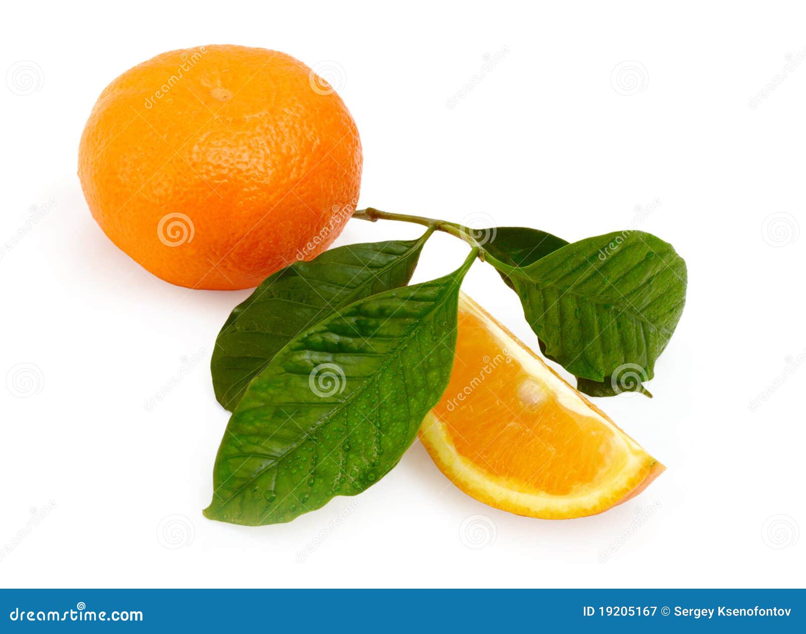 Juicy Orange stock image. Image of ripe, food, tasty 19205167