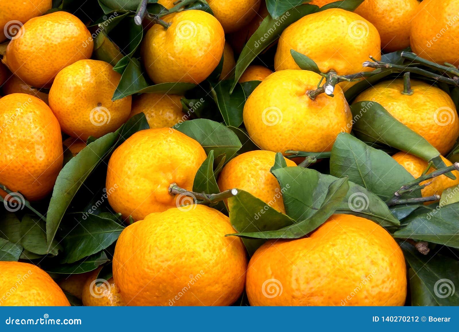 algerian tangerine clementine algerian tangerine clementine