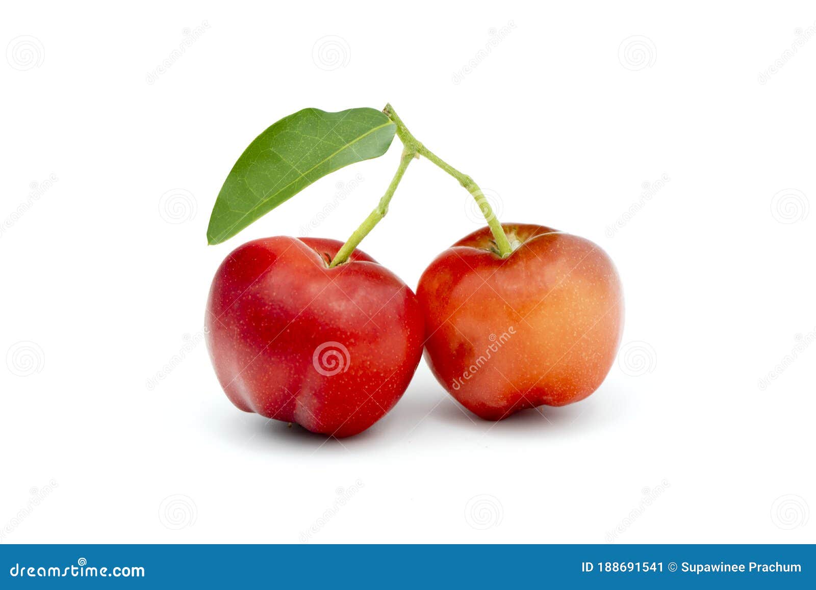 Juicy Red Cherry Thai Isolated on the White Background Stock Image
