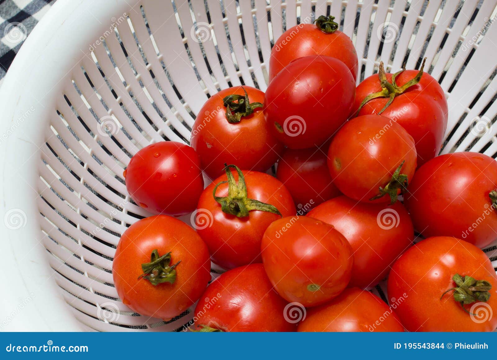 juicy red tomatoes in table cloth . caro background