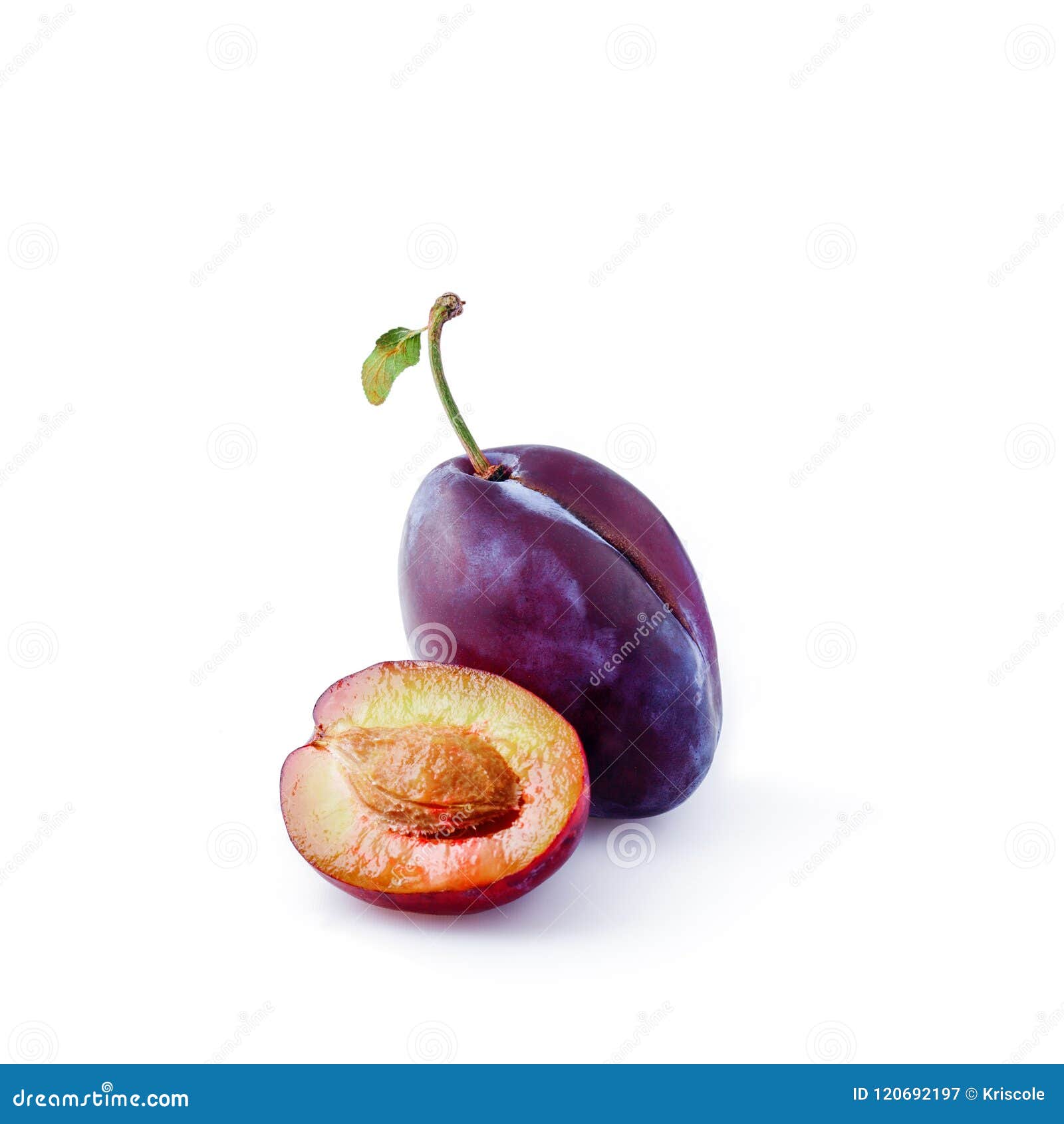 My Image 23