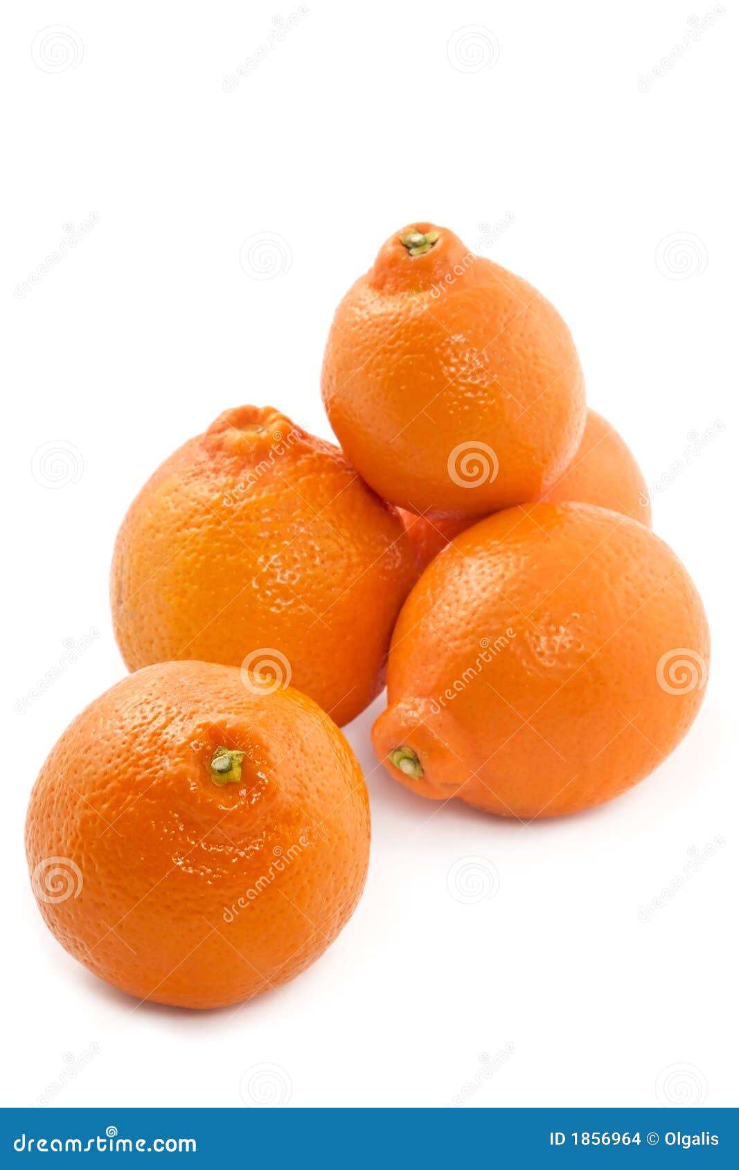Juicy tangerine stock photo. Image of juice, gourmet, background 1856964