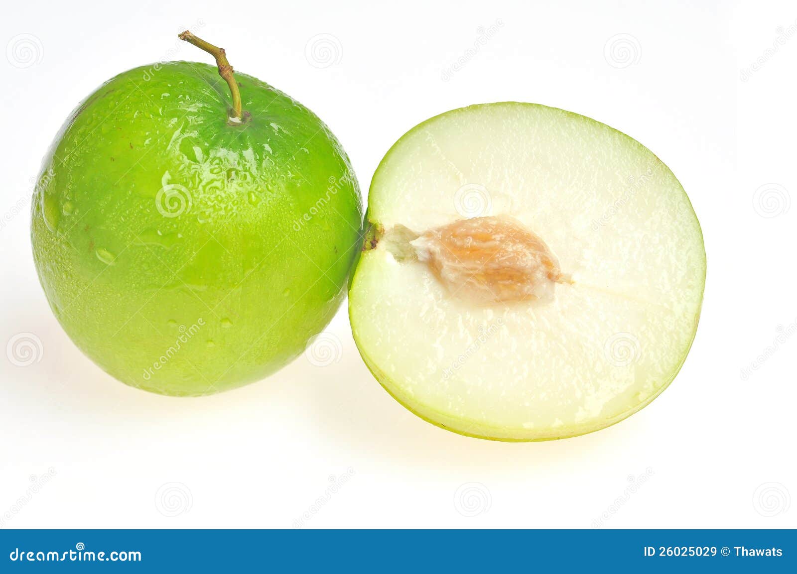 Jujube fruit isolated stock image. Image of mauritiana 26025029