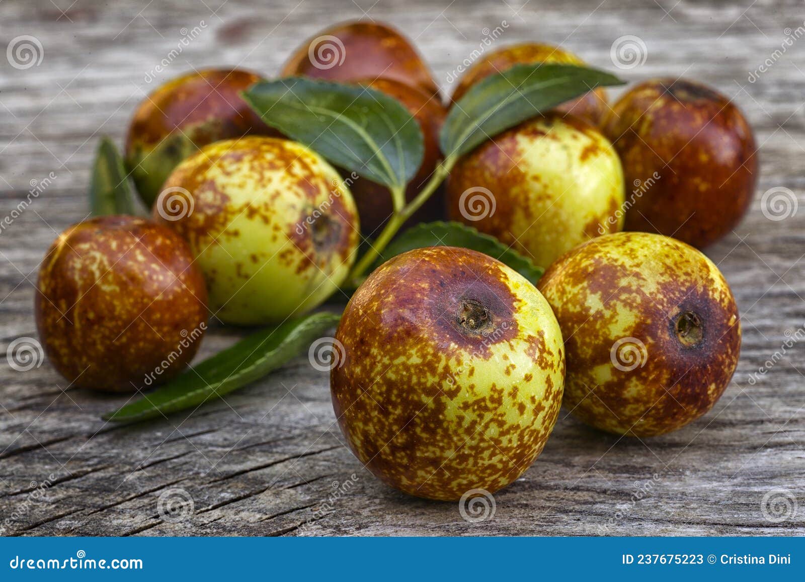jujube fruits ziziphus jujuba.  healthy fruit cleans blood, contains vitamin c