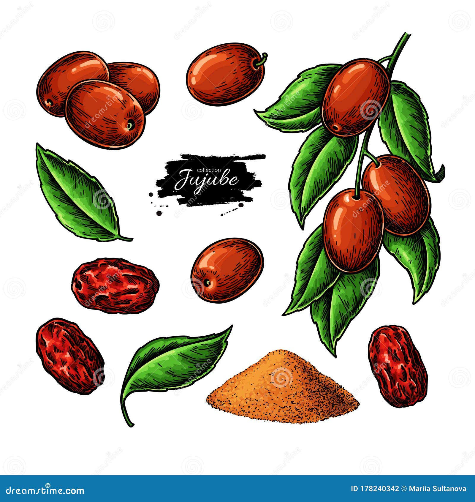 Date Fruit Drawing PNG, Vector, PSD, and Clipart With Transparent  Background for Free Download | Pngtree