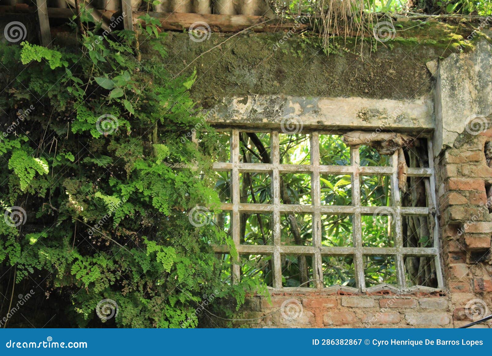 artistic window, juliano moreira colony, historic medical institute in rio de janeiro