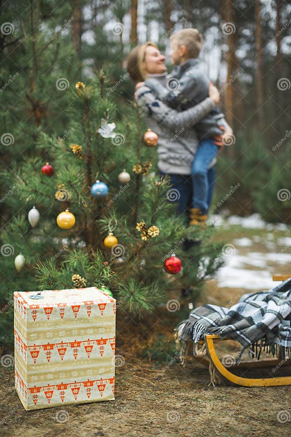 Julklapp, Julklapp, Julklapp Med Julklappar, Dekorerad Julgran över