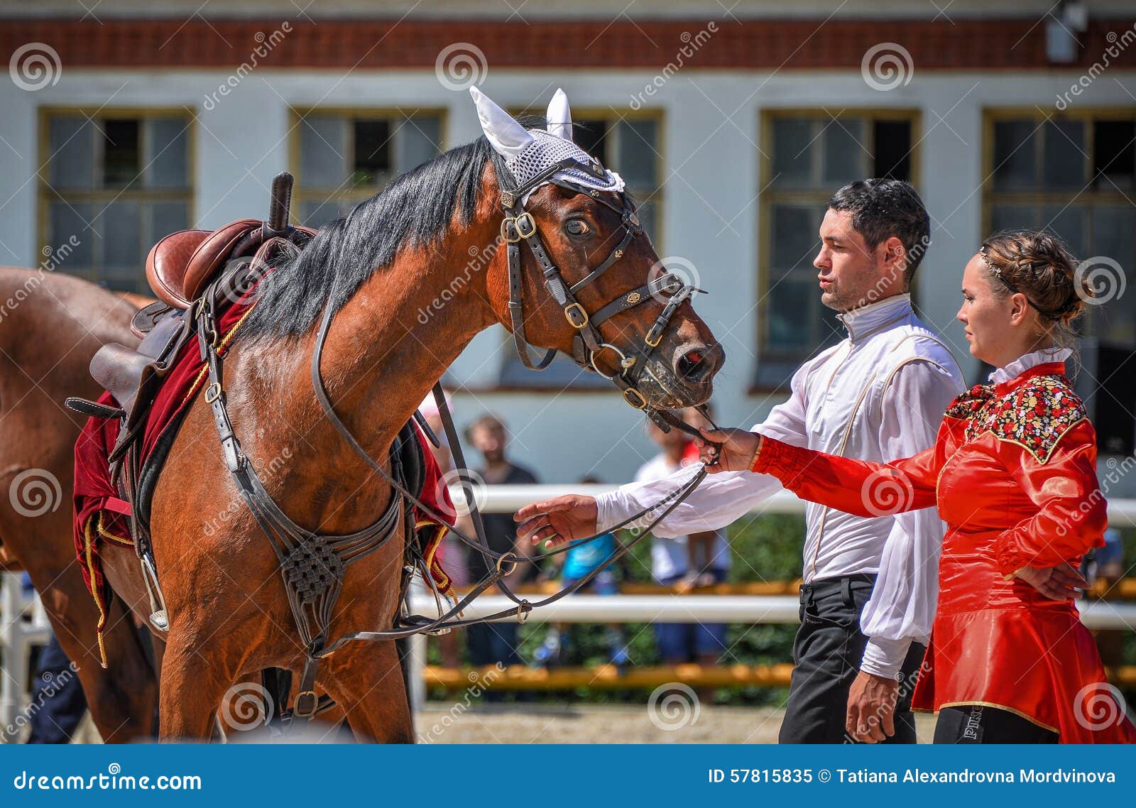 Horse Mistress