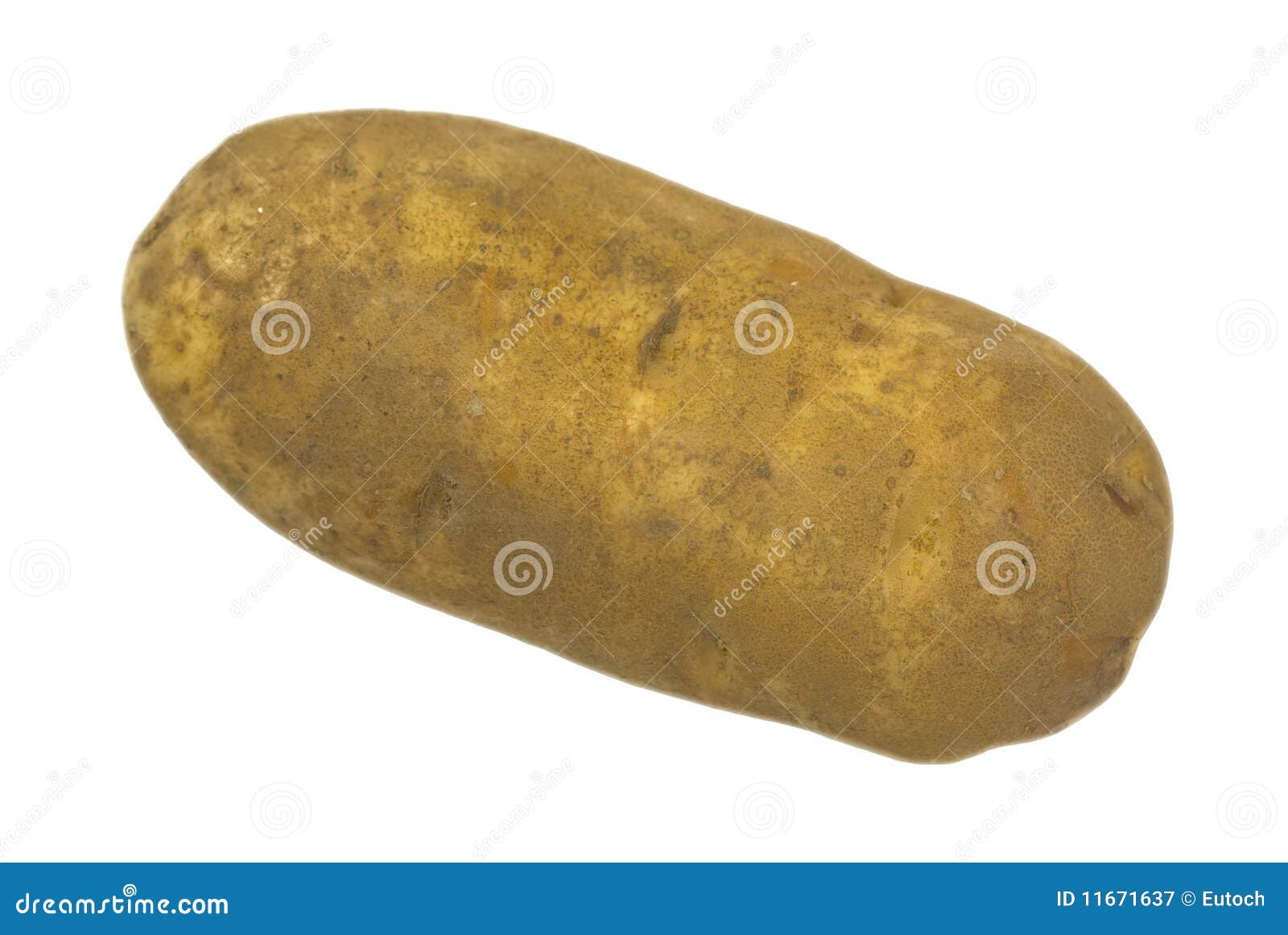Jumbo Baking Potato stock image. Image of potato, single 11671637