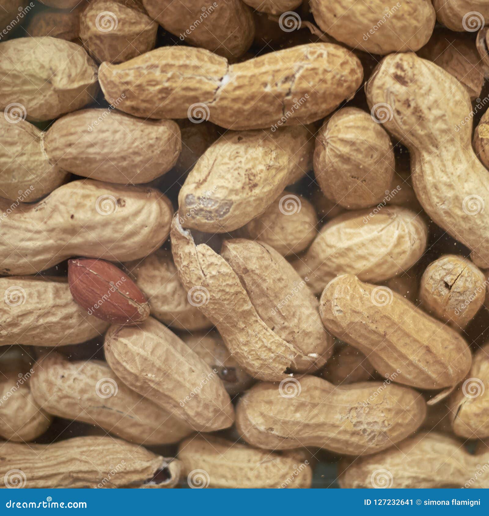 12 Jumbo Peanuts Photos Free & RoyaltyFree Stock Photos from Dreamstime