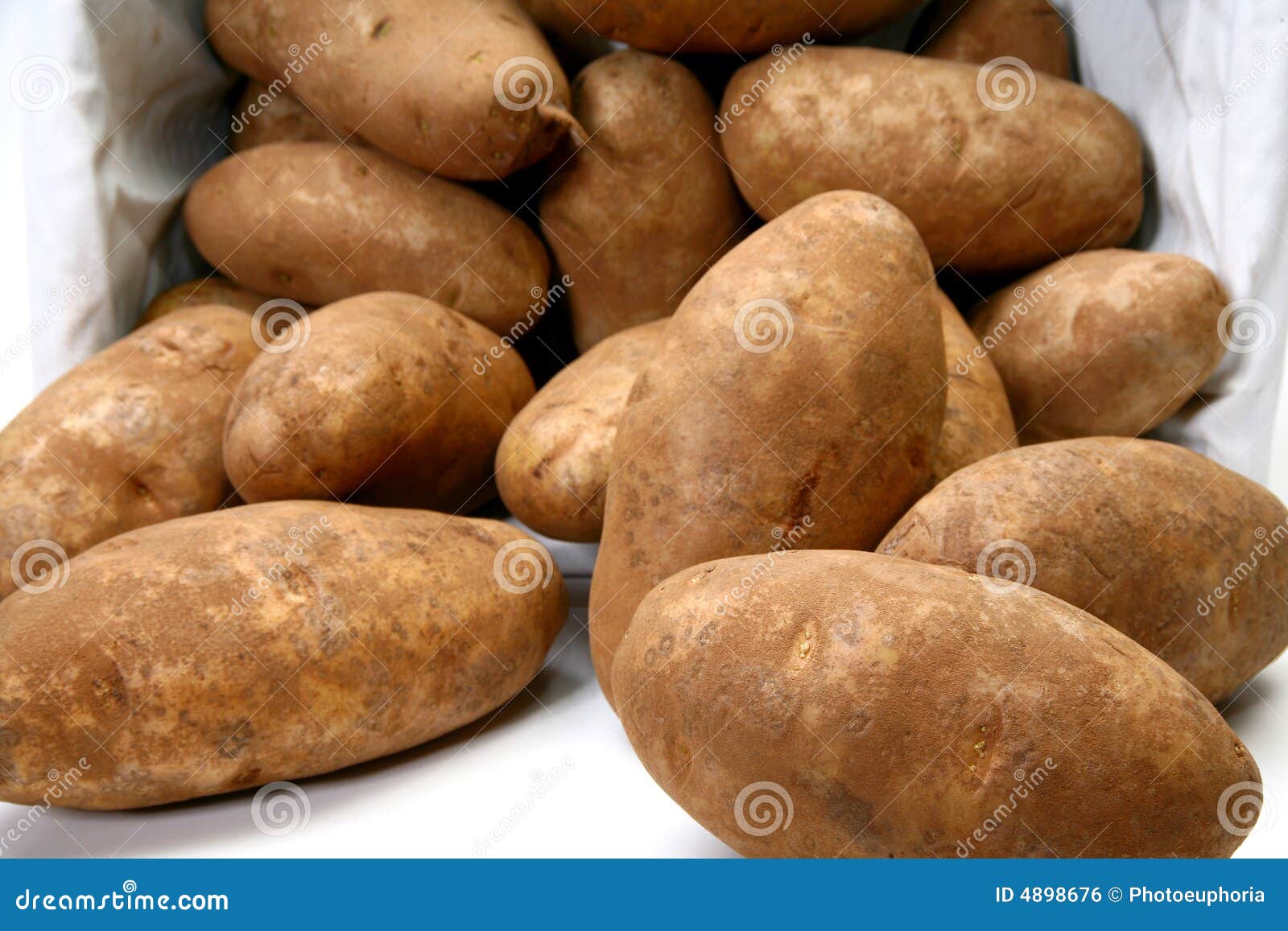Jumbo Russet Potatoes stock photo. Image of group, fingers 4898676