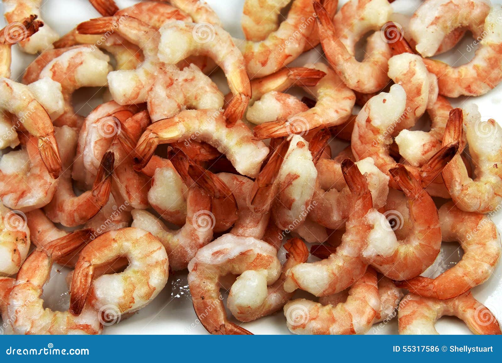Jumbo Shrimp Closeup stock photo. Image of seafood, steamed 55317586