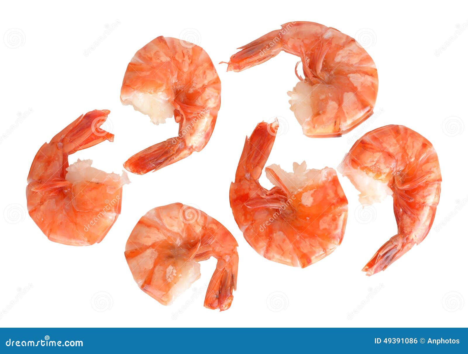 Jumbo Shrimp Oxymoron Stock Photography 134838380