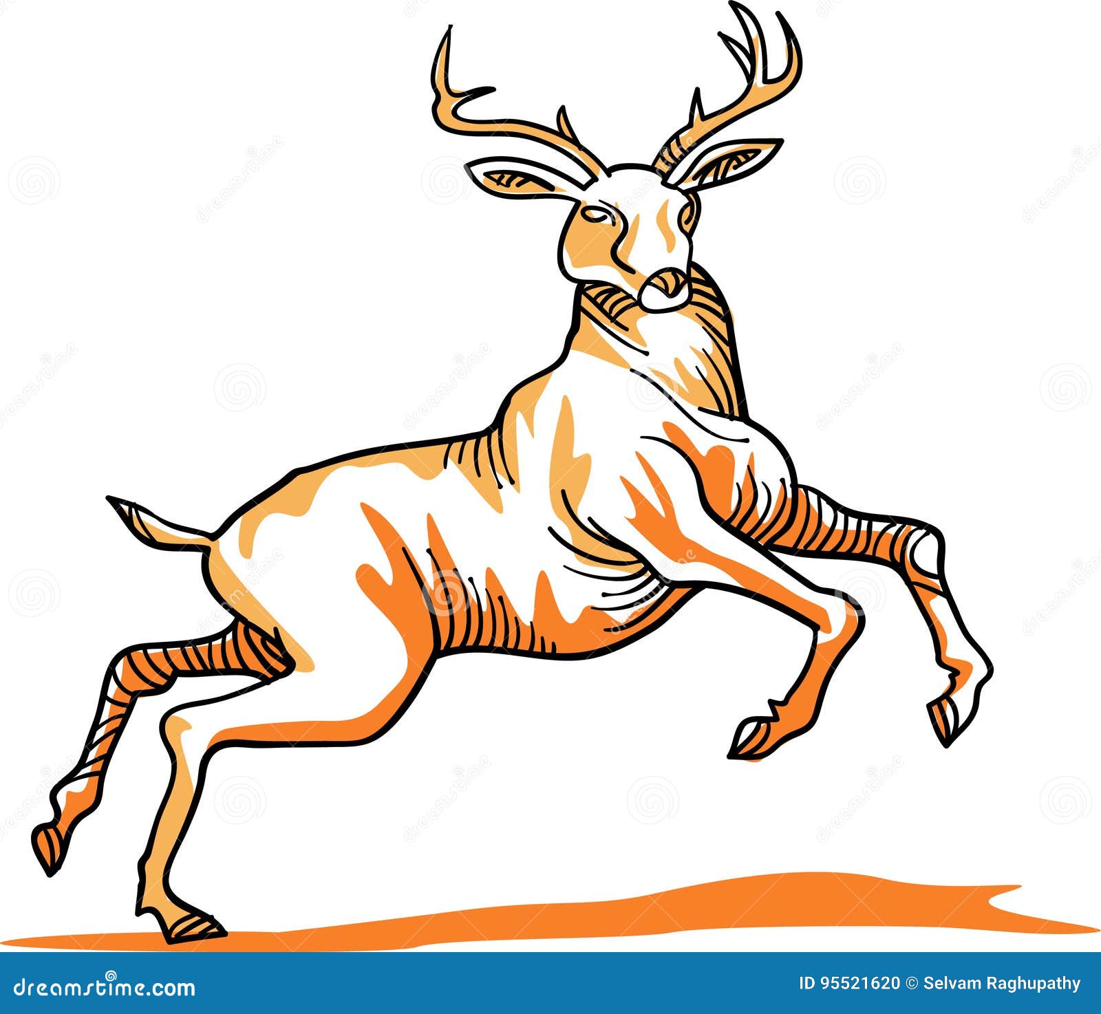 Jumping deer stock vector. Illustration of ruminant, animal 95521620