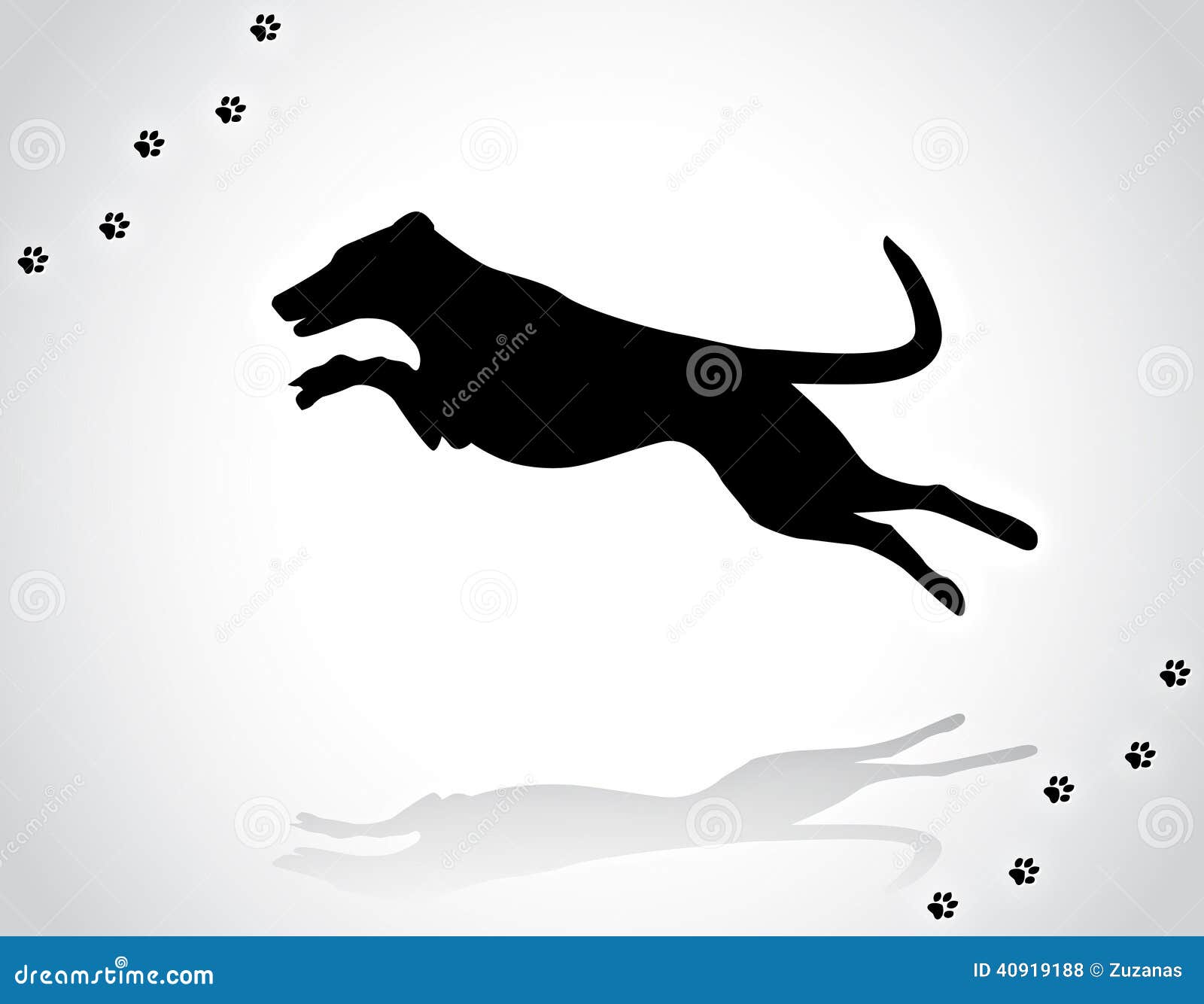 Jumping dog in agility stock vector. Illustration of