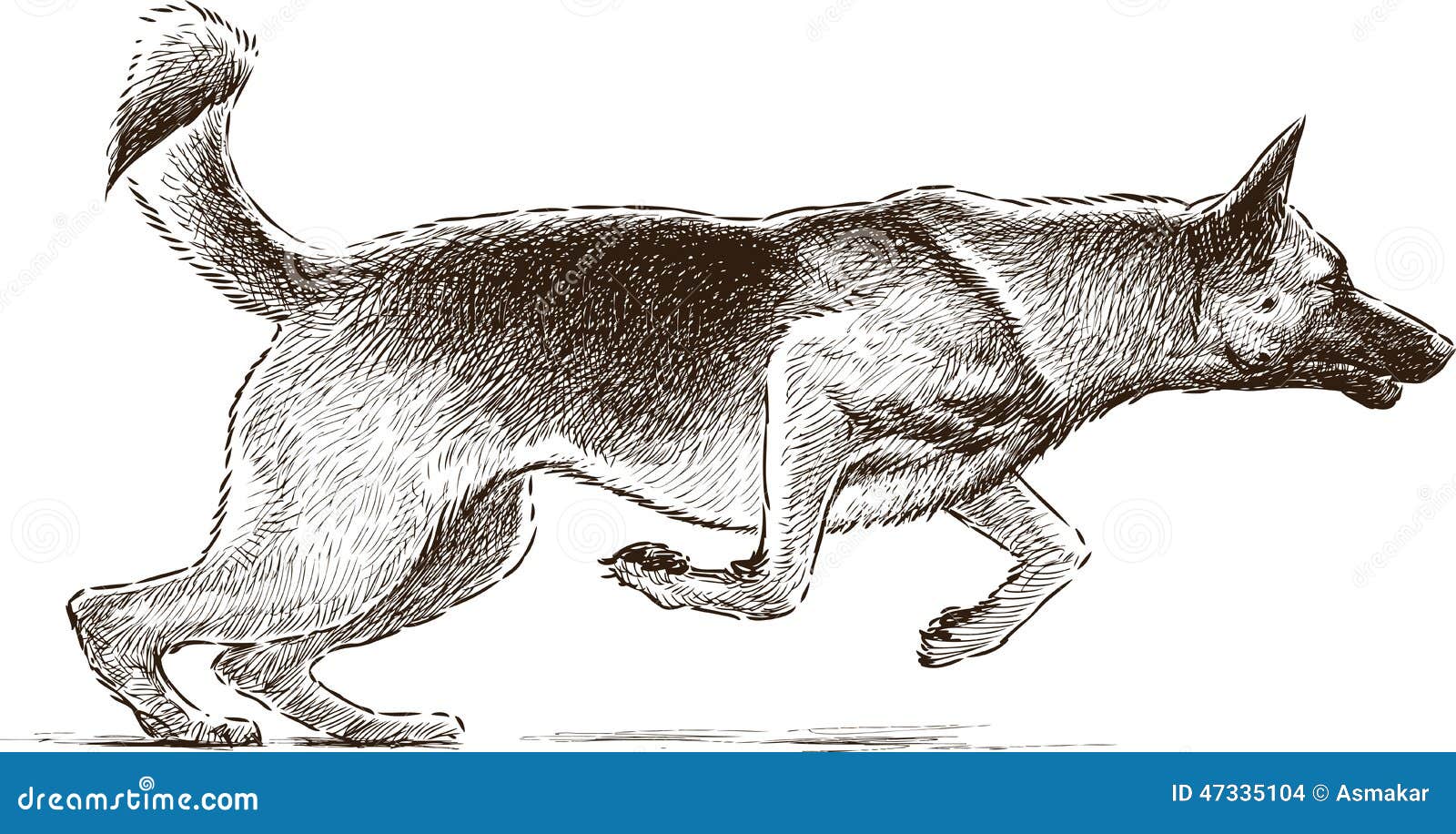 Jumping dog stock vector. Illustration of mammal, white