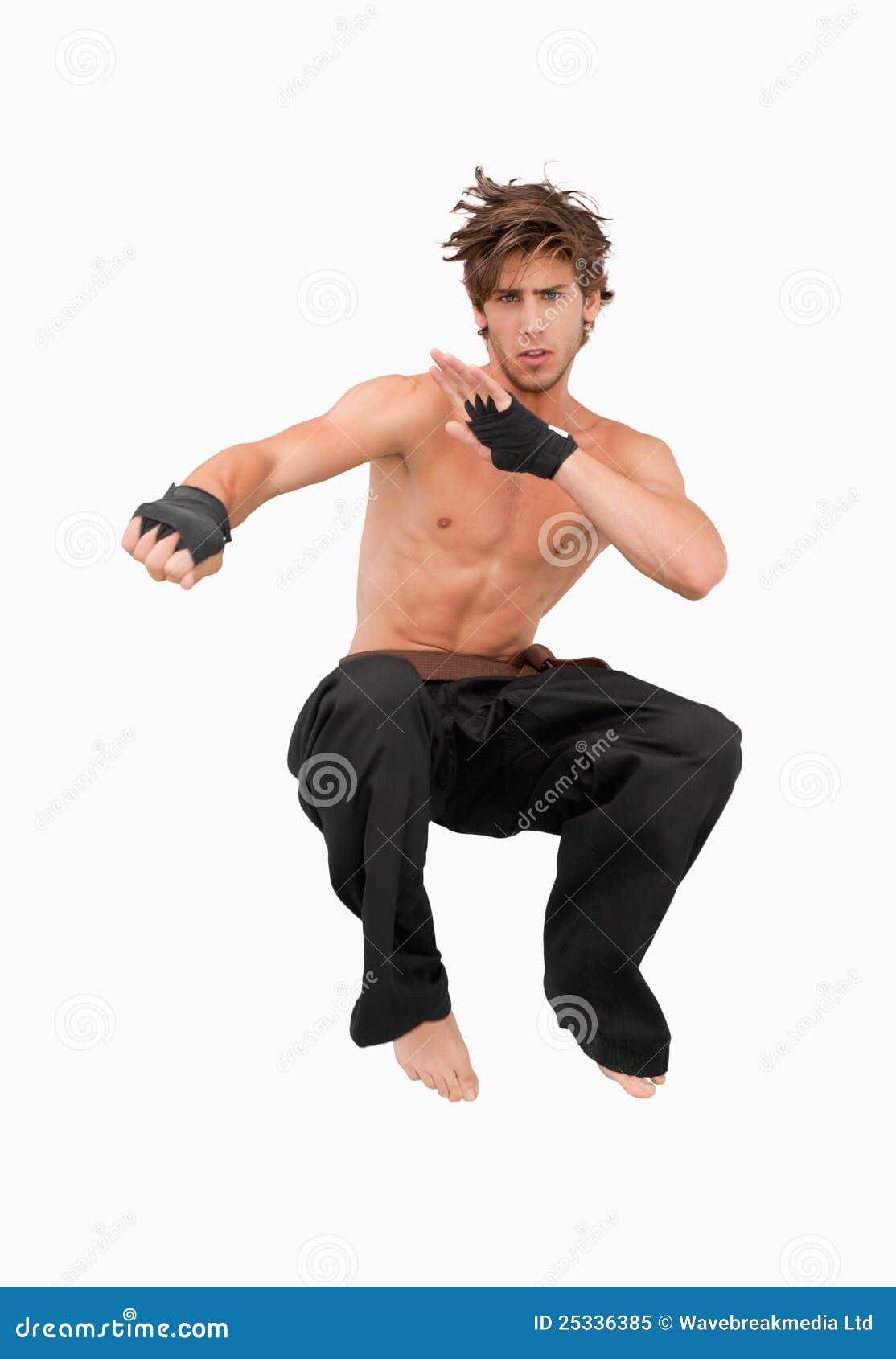 Jumping Martial Arts Fighter Stock Image Image 25336385
