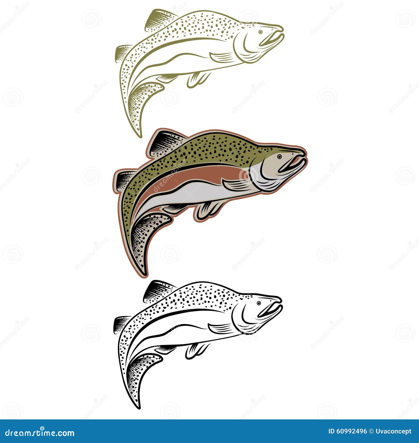 Jumping Salmon Fish. Illustration Of An Atlantic Salmon. Jumping Fish