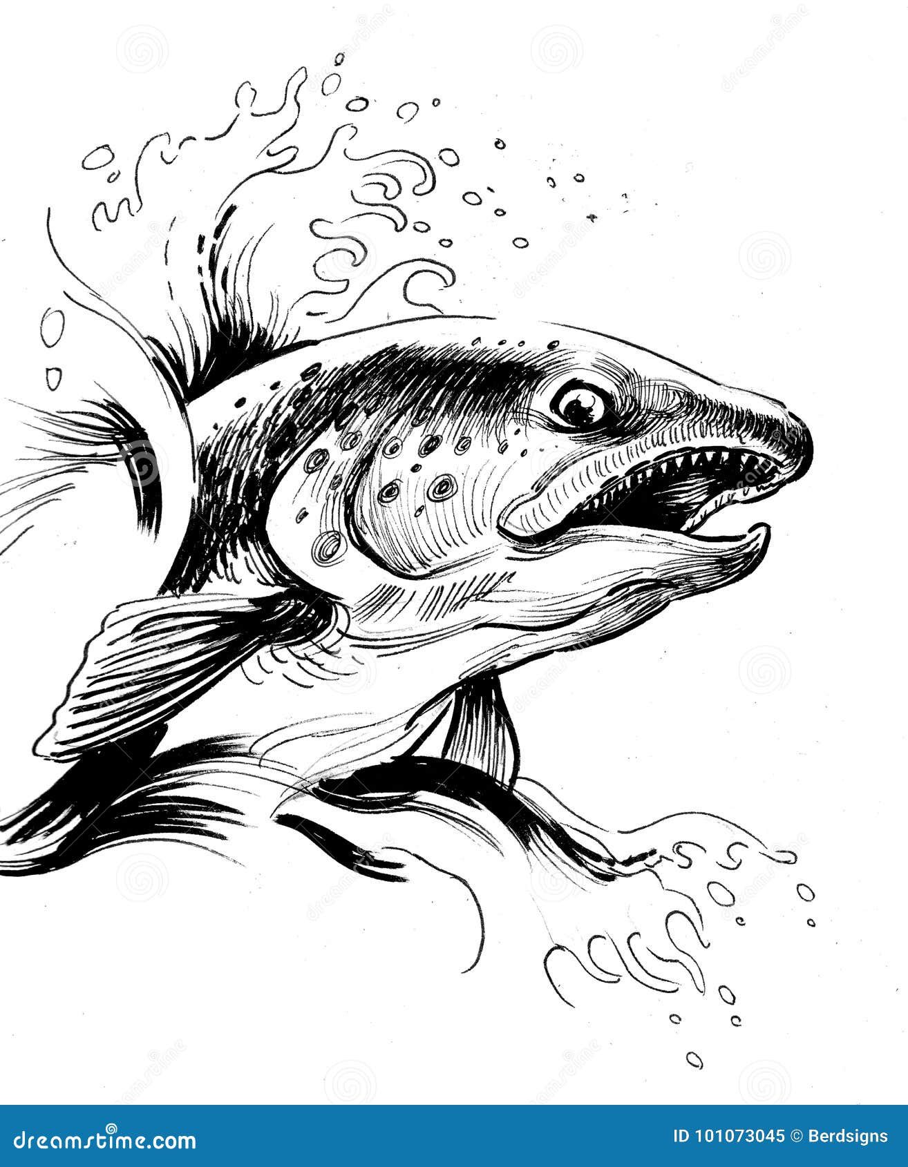 Jumping salmon stock illustration. Illustration of sketch 101073045