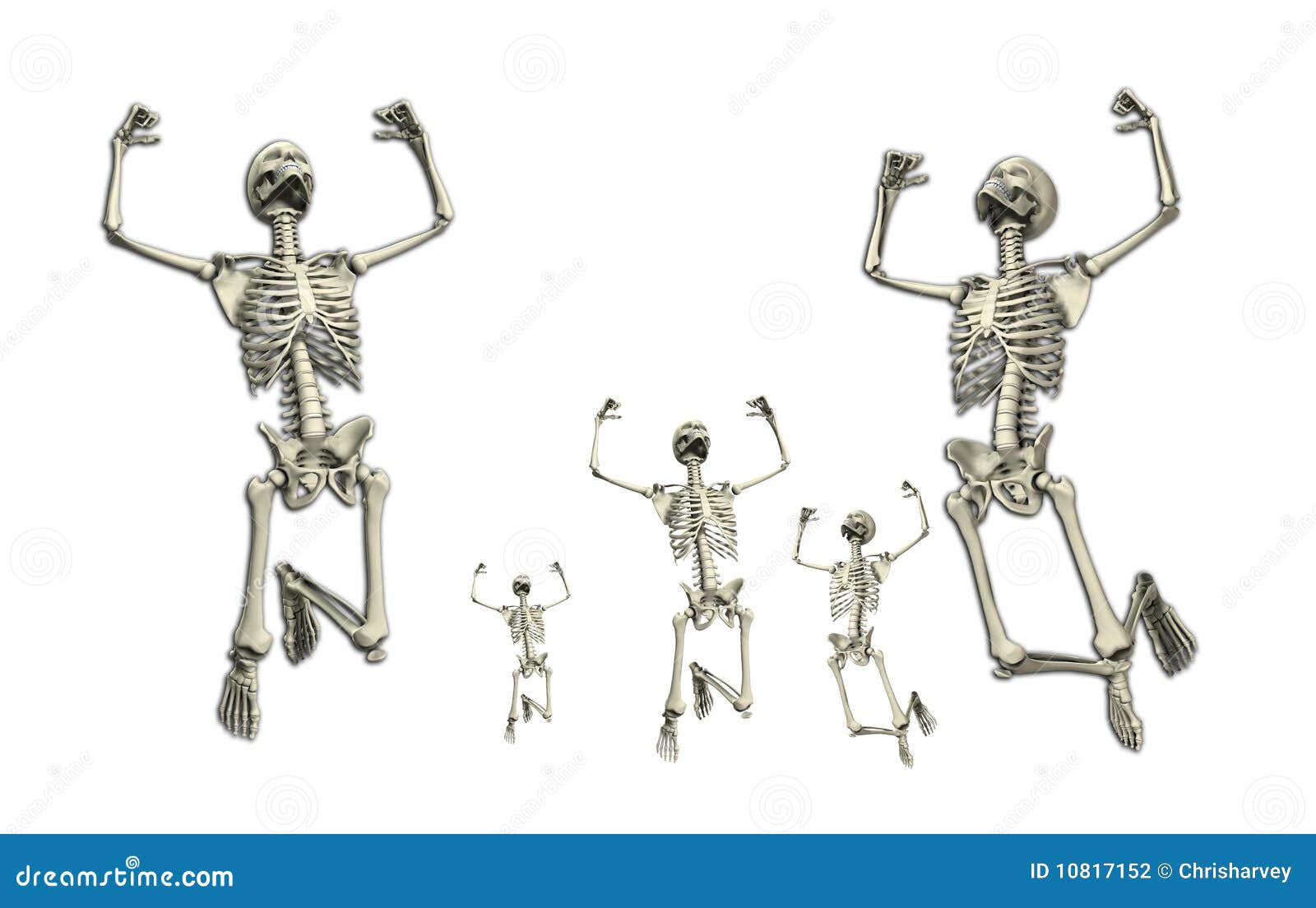 Jumping Skeletons Stock Photography Image 10817152