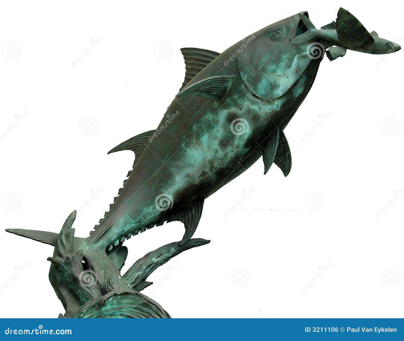 Jumping Tuna flying fish stock photo. Image of island 3211106