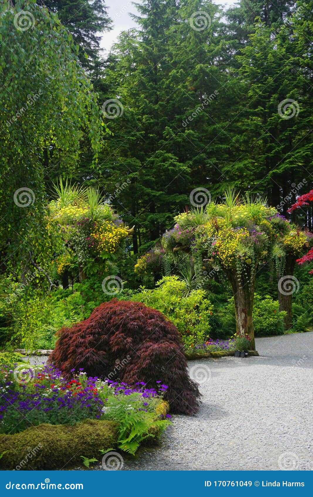 Juneau Alaska Glacier Gardens Is A Rainforest Botanical Garden