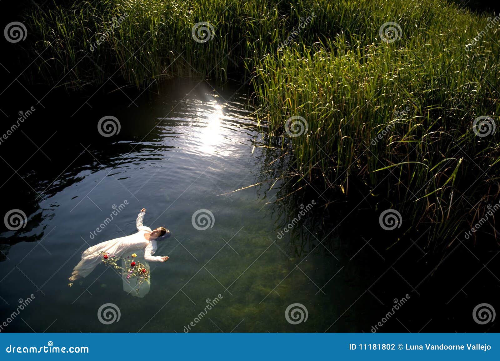Junge Ertrinken Frau Im See Stockfoto Bild von unschuld, ophelia