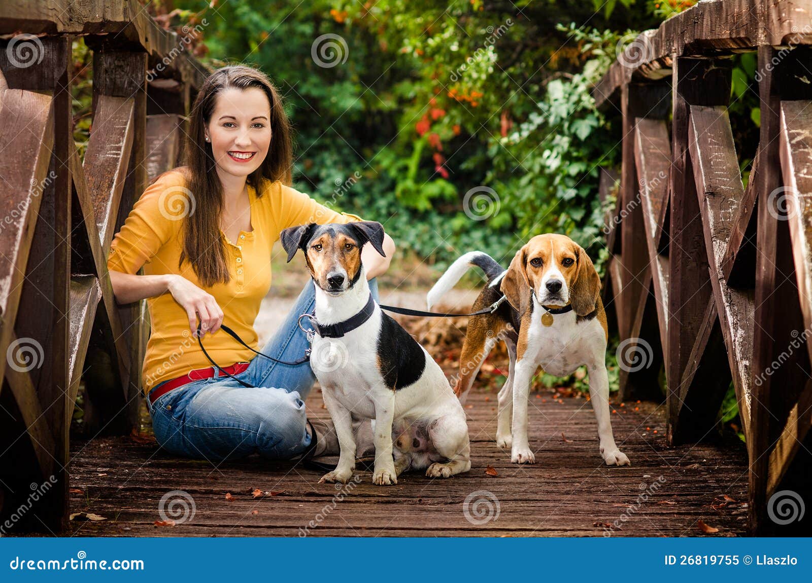Junge Frau und seine Hunde stockbild. Bild von seine 26819755